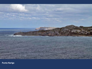 Punta Nariga
 