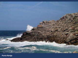 Punta Nariga
 
