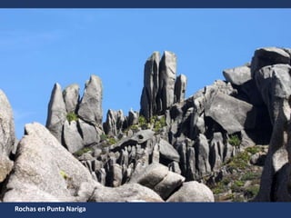 Rochas en Punta Nariga
 