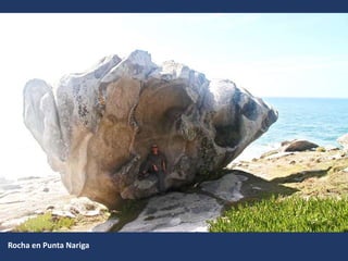 Rocha en Punta Nariga
 