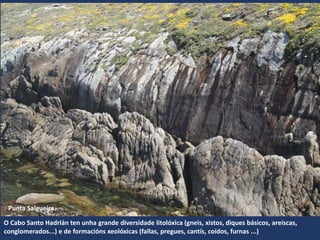 Punta Salgueira
O Cabo Santo Hadrián ten unha grande diversidade litolóxica (gneis, xistos, diques básicos, areíscas,
conglomerados...) e de formacións xeolóxicas (fallas, pregues, cantís, coídos, furnas ...)
 
