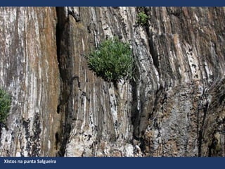 Xistos na punta Salgueira
 