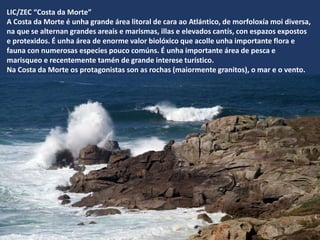 LIC/ZEC “Costa da Morte”
A Costa da Morte é unha grande área litoral de cara ao Atlántico, de morfoloxía moi diversa,
na que se alternan grandes areais e marismas, illas e elevados cantís, con espazos expostos
e protexidos. É unha área de enorme valor biolóxico que acolle unha importante flora e
fauna con numerosas especies pouco comúns. É unha importante área de pesca e
marisqueo e recentemente tamén de grande interese turístico.
Na Costa da Morte os protagonistas son as rochas (maiormente granitos), o mar e o vento.
 