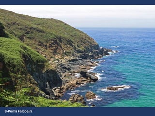 8-Punta Falcoeira
 