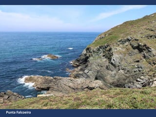 Punta Falcoeira
 