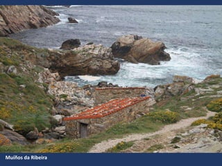 Muíños da Ribeira
 