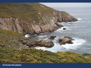 15-Punta Percebeira
 