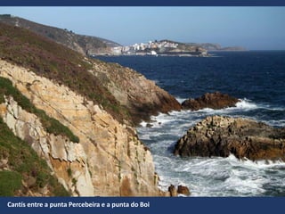 Cantís entre a punta Percebeira e a punta do Boi
 