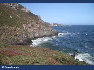 19-Punta Peterón
 