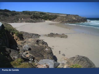 Punta de Canido
 
