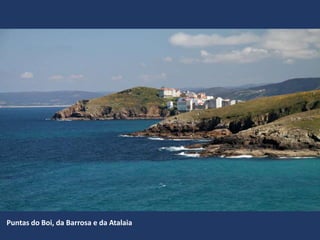 Puntas do Boi, da Barrosa e da Atalaia
 