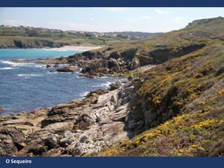 O Sequeiro
 