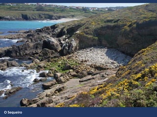 O Sequeiro
 