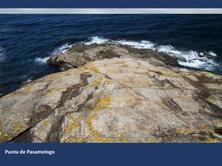 Punta de Pasamelogo
 