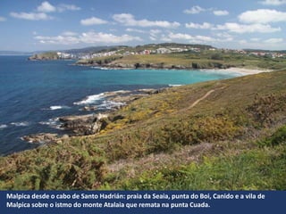 Malpica desde o cabo de Santo Hadrián: praia da Seaia, punta do Boi, Canido e a vila de
Malpica sobre o istmo do monte Atalaia que remata na punta Cuada.
 