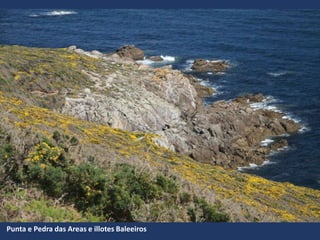 Punta e Pedra das Areas e illotes Baleeiros
 
