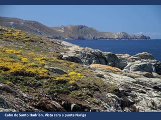 Cabo de Santo Hadrián. Vista cara a punta Nariga
 