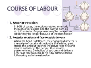 Comprehensive Overview of Fetal Malposition and Presentation in Labor ...