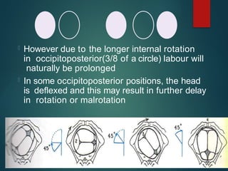  However due to the longer internal rotation
in occipitoposterior(3/8 of a circle) labour will
naturally be prolonged
 In some occipitoposterior positions, the head
is deflexed and this may result in further delay
in rotation or malrotation
 