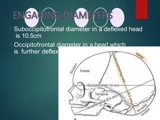  Suboccipitofrontal diameter in a deflexed head
is 10.5cm
 Occipitofrontal diameter in a head which
is further deflexed is 11.5cm
 