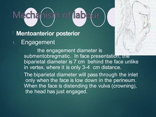  Mentoanterior posterior
1. Engagement

the engagement diameter is
submentobregmatic. In face presentation, the
biparietal diameter is 7 cm behind the face unlike
in vertex, where it is only 3-4 cm distance.
 The biparietal diameter will pass through the inlet
only when the face is low down in the perineum.
When the face is distending the vulva (crowning),
the head has just engaged.
 