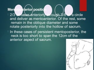Mentoposterior position
 2/3 of cases anteriorly through 3/8 of a circle
and deliver as mentoanterior. Of the rest, some
remain in the oblique diameter and some
rotate posteriorly into the hollow of sacrum.
 In these cases of persistent mentoposterior, the
neck is too short to span the 12cm of the
anterior aspect of sacrum.
 