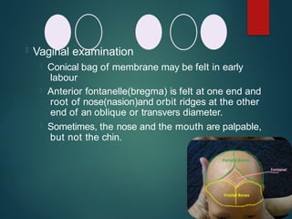  Vaginal examination
 Conical bag of membrane may be felt in early
labour
 Anterior fontanelle(bregma) is felt at one end and
root of nose(nasion)and orbit ridges at the other
end of an oblique or transvers diameter.
 Sometimes, the nose and the mouth are palpable,
but not the chin.
 