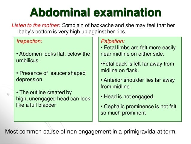 abdominal contour definition abdominal contour definition