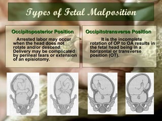 Types of Fetal Malposition Occipitoposterior Position   Arrested labor may occur when the head does not rotate and/or descend. Delivery may be complicated by perineal tears or extension of an episiotomy.  Occipitotransverse Position      It is the incomplete rotation of OP to OA results in the fetal head being in a horizontal or transverse position (OT).  