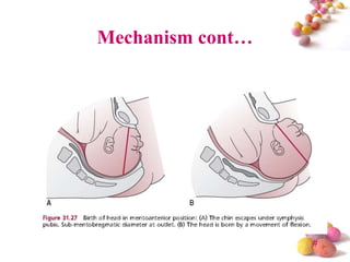 Mechanism cont…

#

 