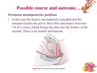 Possible course and outcome…
Persistent mentoposterior positions
• in this case the head is incompletely extended and the
sinciput reaches the pelvic floor first and rotates forwards
1/8 of a circle, which brings the chin into the hollow of the
sacrum. There is no further mechanism.

#

 