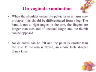 On vaginal examination
• When the shoulder enters the pelvic brim an arm may
prolapse; this should be differentiated from a leg. The
hand is not at right angles to the arm, the fingers are
longer than toes and of unequal length and the thumb
can be opposed.
• No os calcis can be felt and the palm is shorter than
the sole. If the arm is flexed, an elbow feels sharper
than a knee.

#

 