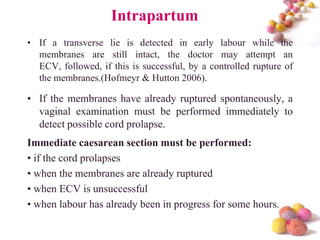 Intrapartum
• If a transverse lie is detected in early labour while the
membranes are still intact, the doctor may attempt an
ECV, followed, if this is successful, by a controlled rupture of
the membranes.(Hofmeyr & Hutton 2006).

• If the membranes have already ruptured spontaneously, a
vaginal examination must be performed immediately to
detect possible cord prolapse.
Immediate caesarean section must be performed:
• if the cord prolapses
• when the membranes are already ruptured
• when ECV is unsuccessful
• when labour has already been in progress for some hours.
#

 