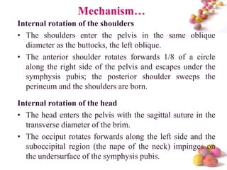 Mechanism…
Internal rotation of the shoulders
• The shoulders enter the pelvis in the same oblique
diameter as the buttocks, the left oblique.
• The anterior shoulder rotates forwards 1/8 of a circle
along the right side of the pelvis and escapes under the
symphysis pubis; the posterior shoulder sweeps the
perineum and the shoulders are born.
Internal rotation of the head
• The head enters the pelvis with the sagittal suture in the
transverse diameter of the brim.
• The occiput rotates forwards along the left side and the
suboccipital region (the nape of the neck) impinges on
the undersurface of the symphysis pubis.
#

 
