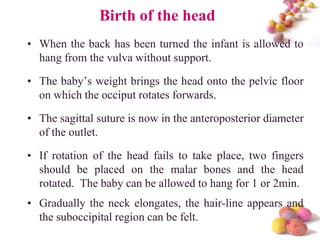 Birth of the head
• When the back has been turned the infant is allowed to
hang from the vulva without support.
• The baby’s weight brings the head onto the pelvic floor
on which the occiput rotates forwards.

• The sagittal suture is now in the anteroposterior diameter
of the outlet.
• If rotation of the head fails to take place, two fingers
should be placed on the malar bones and the head
rotated. The baby can be allowed to hang for 1 or 2min.
• Gradually the neck elongates, the hair-line appears and
the suboccipital region can be felt.
#

 
