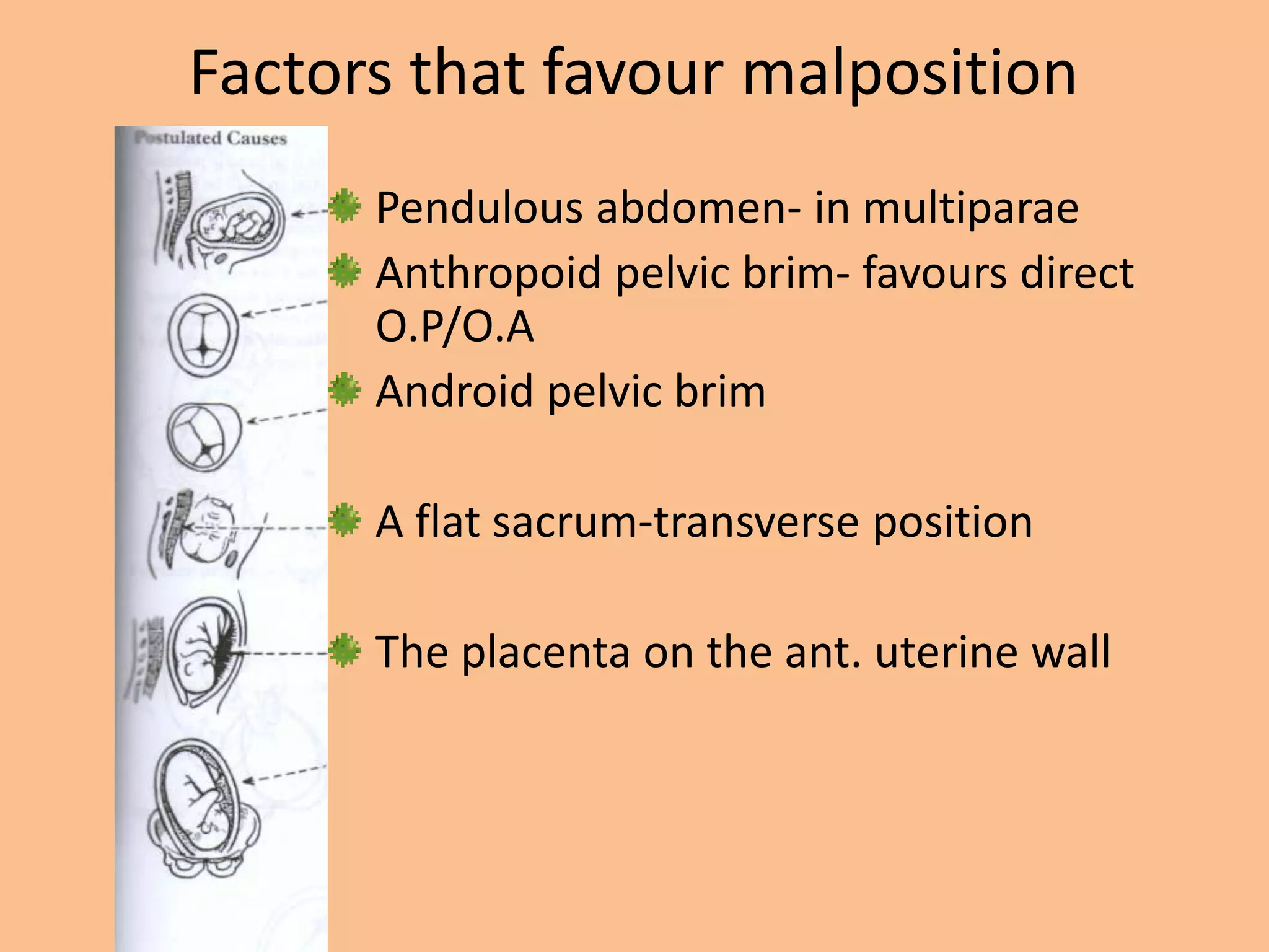 Factors that favour malposition
      Pendulous abdomen- in multiparae
      Anthropoid pelvic brim- favours direct
      O.P/O.A
      Android pelvic brim

      A flat sacrum-transverse position

      The placenta on the ant. uterine wall
 