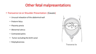 Other fetal malpresentations
• Transverse Lie or Shoulder Presentation: (Causes)
• Unusual relaxation of the abdominal wall
• Preterm fetus
• Placenta previa
• Abnormal uterus
• Contracted pelvis
• Tumor occluding the birth canal
• Polyhydramnios
 