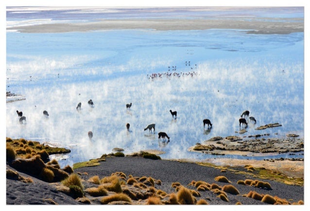 Exposition "Paysages Abstraits empruntés à l'Altiplano Bolivien" à la Maison de l'Amérique Latine en Rhône-Alpes Auvergne