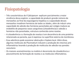 Fisiopatologia
• Três características do P. falciparum explicam parcialmente a maior
  virulência dessa espécie: a capacidade de produzir grande número de
  merozoítos ao final da esquizogonia hepática e a capacidade desses
  merozoítos invadirem hemácias de todas as idades, além de induzir uma
  capacidade de adesão das hemácias parasitadas por estágio maduro ao
  endotélio de pequenos vasos sanguíneos (citoaderência) e adesão a
  hemácias não parasitadas, estrutura conhecida como rosetas.
• A citoaderência e a formação de rosetas é em decorrência de uma proteína
  relacionada ao parasita, que é expressa na superfície externa da membrana.
• Essa aderência pode ocasionar obstrução e hipóxia local. Além disso,
  algumas moléculas do Plasmodium induzem a produção de citocinas pró-
  inflamatórias levando à produção de moléculas de adesão nas paredes
  vasculares
• Os maiores acometimentos na malária é decorrente da citoaderência e
  possivelmente da formação de rosetas e as moléculas inflamatórias.
 