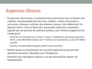 Aspectos clínicos
• Em pessoas não-imunes, o acometimento é paroxístico que se iniciam com
 calafrios, acompanhados de mal-estar, cefaléia, e dores musculares e
 articulares. Náuseas e vômitos são sintomas comuns, dor abdominal. Em
 algumas horas, inicia-se febre alta, que produz adinamia e prostação,
 seguido por um período de sudorese profusa, com melhora progressiva do
 estado geral
  • Pacientes em infecção por P. ovale, P. vivax e P. falciparum apresenta paroxismo
    febril a cada 48h (febre terçã) e por P. malarie com paroxismos a cada 72h (febre
    quartã)
  • Anemia e hepatoesplenomegalia podem estar presentes

• Malária grave ou complicada é um conceito operacional que permite
  identificar pacientes infectados por P. falciparum
• Pacientes que não podem realizar o uso de antimaláricos devem ser
  hospitalizados
 