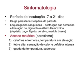Sintomatologia
• Período de incubação -7 a 21 dias
• Carga parasitária x espécie de parasita
• Esquizogonias sanguíneas – destruição das hemácias
e liberação do pigmento malárico Hemozoína
(depósito baço, fígado, cérebro, medula óssea)
• Acesso malárico (paroxismo)
1) calafrios e tremores, temperatura em elevação
2) febre alta, sensação de calor e cefaléia intensa
3) queda da temperatura, sudorese
 