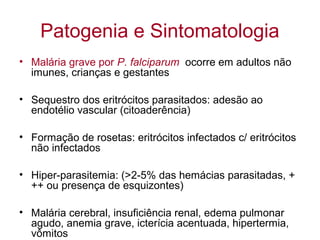Patogenia e Sintomatologia
• Malária grave por P. falciparum ocorre em adultos não
imunes, crianças e gestantes
• Sequestro dos eritrócitos parasitados: adesão ao
endotélio vascular (citoaderência)
• Formação de rosetas: eritrócitos infectados c/ eritrócitos
não infectados
• Hiper-parasitemia: (>2-5% das hemácias parasitadas, +
++ ou presença de esquizontes)
• Malária cerebral, insuficiência renal, edema pulmonar
agudo, anemia grave, icterícia acentuada, hipertermia,
vômitos
 