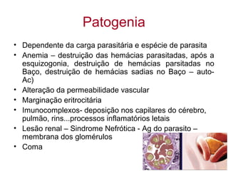Patogenia
• Dependente da carga parasitária e espécie de parasita
• Anemia – destruição das hemácias parasitadas, após a
esquizogonia, destruição de hemácias parsitadas no
Baço, destruição de hemácias sadias no Baço – auto-
Ac)
• Alteração da permeabilidade vascular
• Marginação eritrocitária
• Imunocomplexos- deposição nos capilares do cérebro,
pulmão, rins...processos inflamatórios letais
• Lesão renal – Sindrome Nefrótica - Ag do parasito –
membrana dos glomérulos
• Coma
 