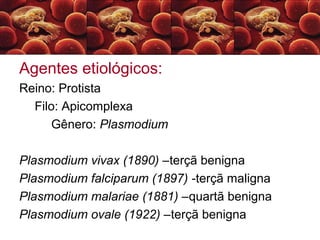 Agentes etiológicos:
Reino: Protista
Filo: Apicomplexa
Gênero: Plasmodium
Plasmodium vivax (1890) –terçã benigna
Plasmodium falciparum (1897) -terçã maligna
Plasmodium malariae (1881) –quartã benigna
Plasmodium ovale (1922) –terçã benigna
 