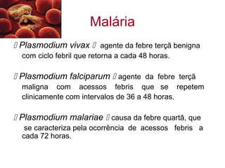 Malária
 Plasmodium vivax  agente da febre terçã benigna
com ciclo febril que retorna a cada 48 horas.
 Plasmodium falciparum  agente da febre terçã
maligna com acessos febris que se repetem
clinicamente com intervalos de 36 a 48 horas.
 Plasmodium malariae  causa da febre quartã, que
se caracteriza pela ocorrência de acessos febris a
cada 72 horas.
 