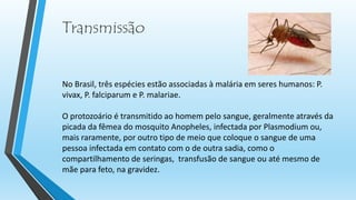 Transmissão
No Brasil, três espécies estão associadas à malária em seres humanos: P.
vivax, P. falciparum e P. malariae.
O protozoário é transmitido ao homem pelo sangue, geralmente através da
picada da fêmea do mosquito Anopheles, infectada por Plasmodium ou,
mais raramente, por outro tipo de meio que coloque o sangue de uma
pessoa infectada em contato com o de outra sadia, como o
compartilhamento de seringas, transfusão de sangue ou até mesmo de
mãe para feto, na gravidez.
 