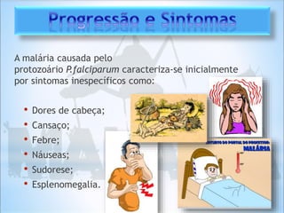 A malária causada pelo
protozoário P.falciparum caracteriza-se inicialmente
por sintomas inespecíficos como:
• Dores de cabeça;
• Cansaço;
• Febre;
• Náuseas;
• Sudorese;
• Esplenomegalia.
 