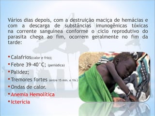 Vários dias depois, com a destruição maciça de hemácias e
com a descarga de substâncias imunogênicas tóxicas
na corrente sanguínea conforme o ciclo reprodutivo do
parasita chega ao fim, ocorrem geralmente no fim da
tarde:
•Calafrios(calor e frio);
•Febre 39-40°C; (periódica)
•Palidez;
•Tremores fortes (entre 15 min. e 1hr.)
•Ondas de calor.
•Anemia Hemolítica
•Icterícia
 