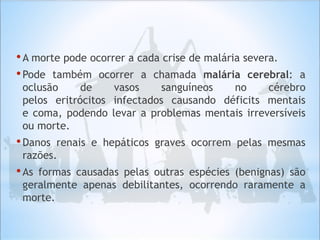 •A morte pode ocorrer a cada crise de malária severa.
•Pode também ocorrer a chamada malária cerebral: a
oclusão de vasos sanguíneos no cérebro
pelos eritrócitos infectados causando déficits mentais
e coma, podendo levar a problemas mentais irreversíveis
ou morte.
•Danos renais e hepáticos graves ocorrem pelas mesmas
razões.
•As formas causadas pelas outras espécies (benignas) são
geralmente apenas debilitantes, ocorrendo raramente a
morte.
 