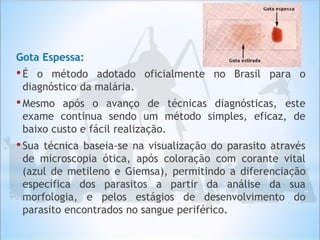 Gota Espessa:
•É o método adotado oficialmente no Brasil para o
diagnóstico da malária.
•Mesmo após o avanço de técnicas diagnósticas, este
exame continua sendo um método simples, eficaz, de
baixo custo e fácil realização.
•Sua técnica baseia-se na visualização do parasito através
de microscopia ótica, após coloração com corante vital
(azul de metileno e Giemsa), permitindo a diferenciação
específica dos parasitos a partir da análise da sua
morfologia, e pelos estágios de desenvolvimento do
parasito encontrados no sangue periférico.
 